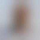 Photo de M